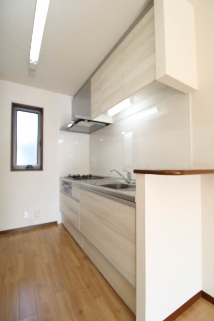 ツイン・アイリス B000号-4