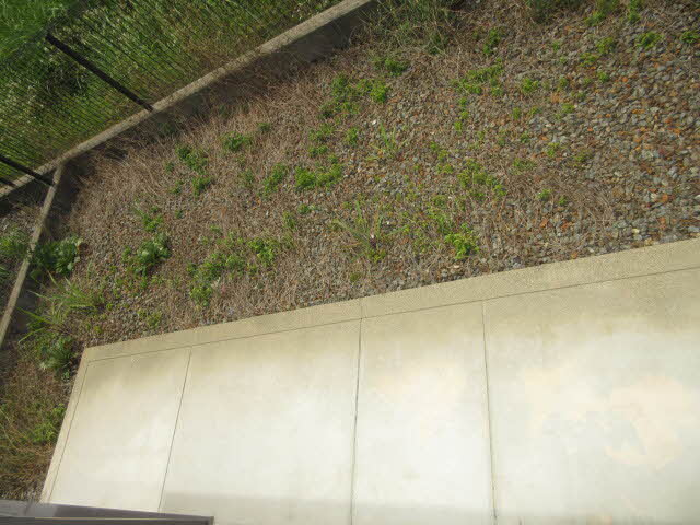 ディアコートＡ・Ｂ・Ｃ・Ｄ・Ｅ・Ｆ F102号-11