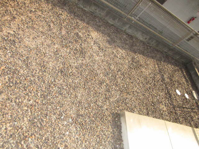 プチ・フォレ 0102号-11