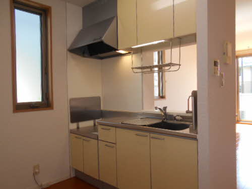 SHISHIKURA 0102号-2