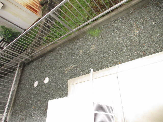 アプリコット 0102号-10