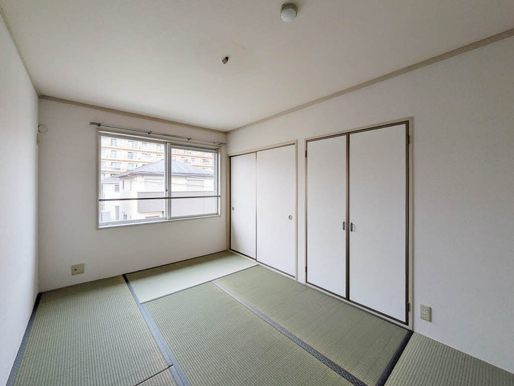 リトルフィールドＣ C206号-7