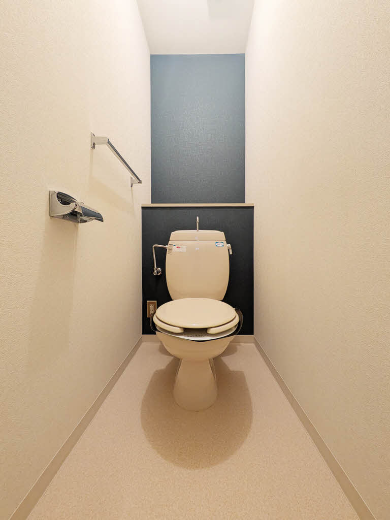 リトルフィールドＣ C206号-11