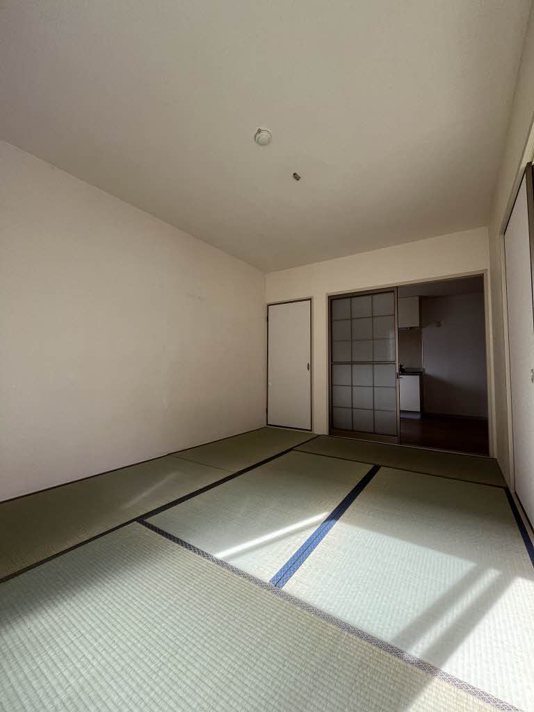 セフィラＳＡＩＮＯ　Ｃ C103号-4