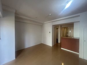 パラッツォロッサ 0502号-3
