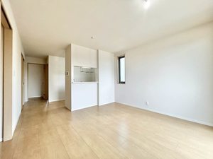 ＰＩＳＯ　ＭＡＲＩＯ A205号-2