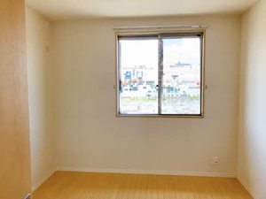 シュシュ しらかし 0202号-4