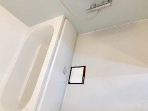 シュシュ しらかし 0202号-10