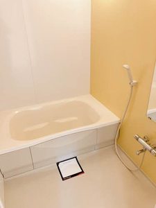 メゾン　ラフェリオ 0103号-8