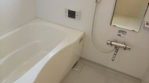 シャーメゾン　メイプル 0102号-5