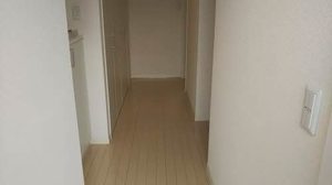 シャーメゾン　メイプル 0102号-7