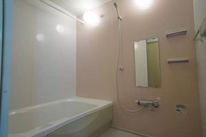 ラ　ヴィ　アンソレイエ 0205号-6