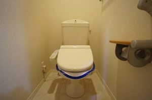 ラ　ヴィ　アンソレイエ 0205号-8