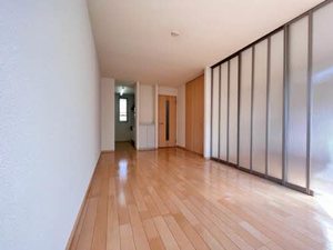 エフネン R フェルト 0102号-2