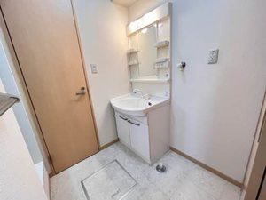 エフネン R フェルト 0102号-5