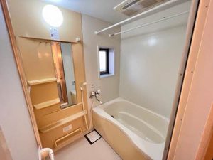 エフネン R フェルト 0102号-6