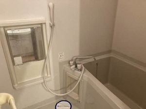 ヴェナ　ビスタ 0110号-4