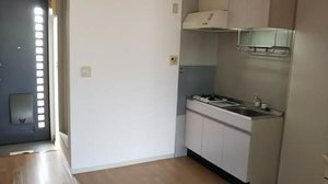 ラスチェ グリーン 0101号-2