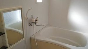 ラスチェ グリーン 0101号-5