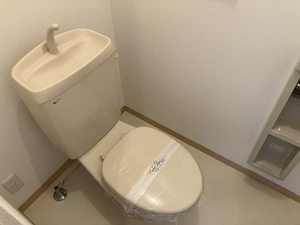 シャトーサイド 0203号-7