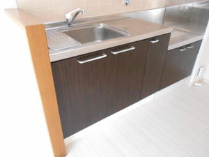 セントポーリア A202号-6