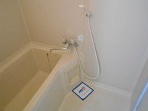 セントポーリア A202号-7