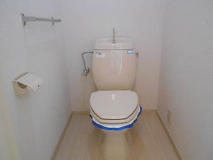 セントポーリア A202号-9