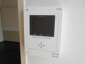 セントポーリア A202号-11