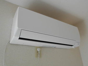 セントポーリア A202号-12