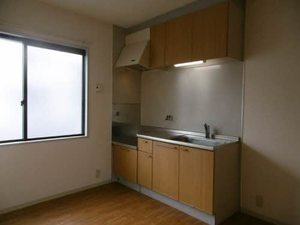 ハイツ　ツェントリィシュ C102号-4