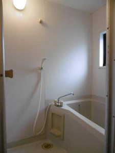 ハイツ　ツェントリィシュ C102号-5