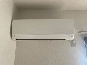 プリムローズ A102号-13