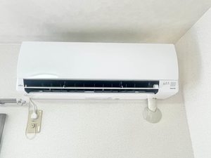 プリムローズ B201号-11