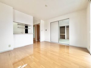 アルカディアコート 0202号-3