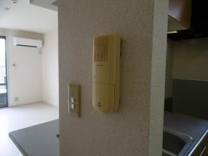 ニューフォーレス　ナガタ B201号-9