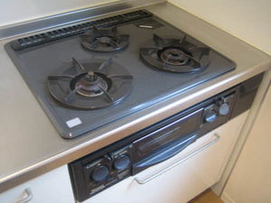 アルカディアコートⅡ A101号-6