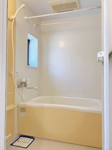 パラシオ・デル・ソル 0102号-5