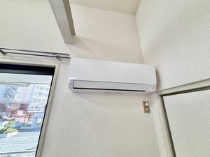 グリーンルミナス D201号-11