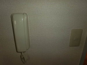 フォーレス佐土 A201号-10