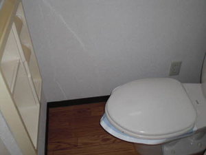 リバーサイドⅡ A105号-3