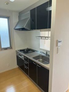 メゾン・ド・富永 0203号-3