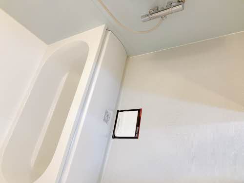 シュシュ しらかし 0202号-10