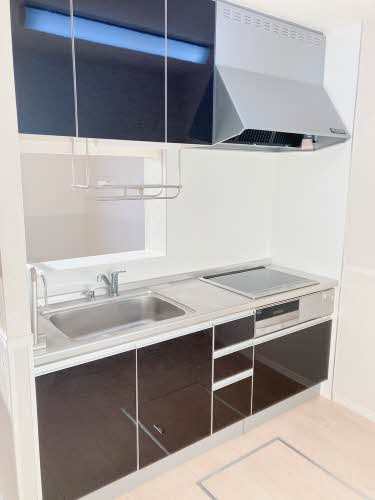 メゾン　ラフェリオ 0103号-3