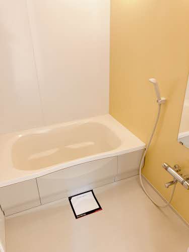 メゾン　ラフェリオ 0103号-8