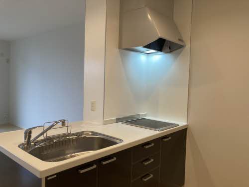 シャーメゾンコートN 0103号-4