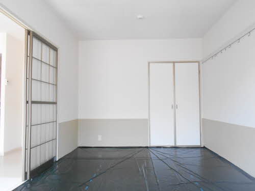 セントポーリア A202号-4