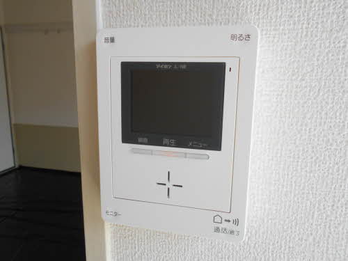 セントポーリア A202号-11