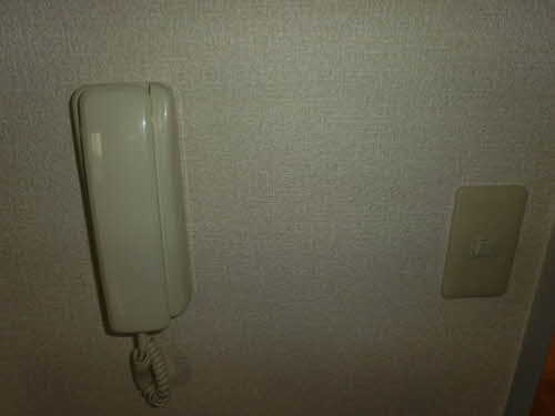 フォーレス佐土 A201号-10