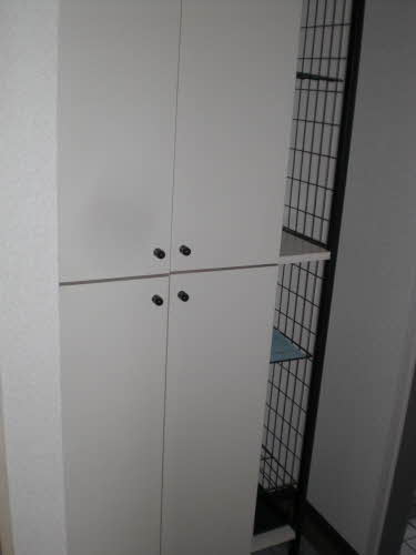 リバーサイドⅡ A105号-2