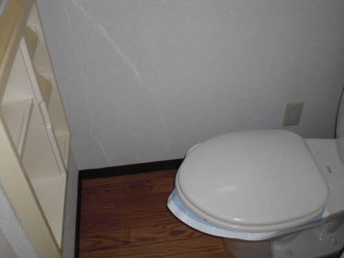 リバーサイドⅡ A105号-3